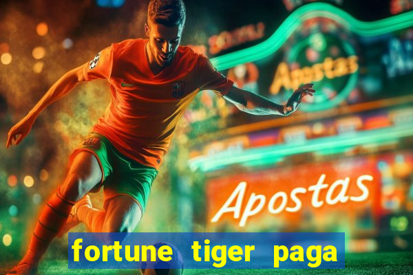 fortune tiger paga de madrugada